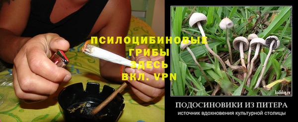 каннабис Белокуриха